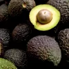 Fuerte Avocados