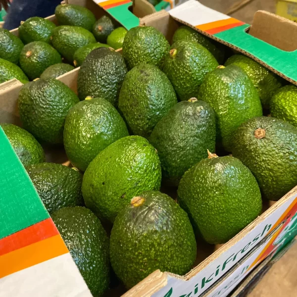 Hass Avocados