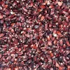 Red Corn/Maize