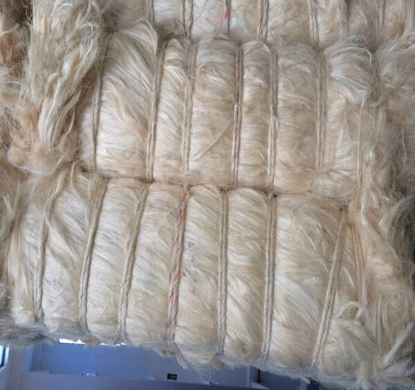 Sisal Fiber Short Fiber Tow 2